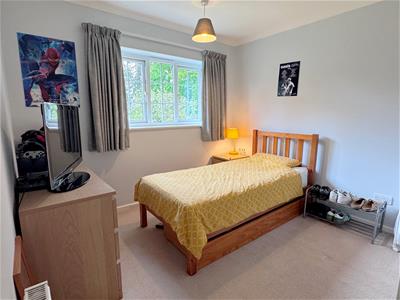 Picture 22